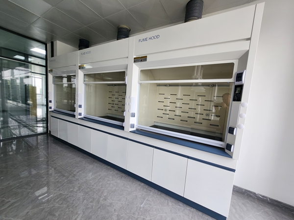 山东全钢污视频免费